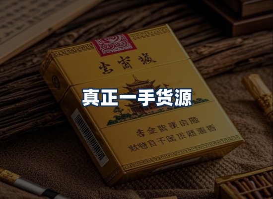 专业团队办公环境